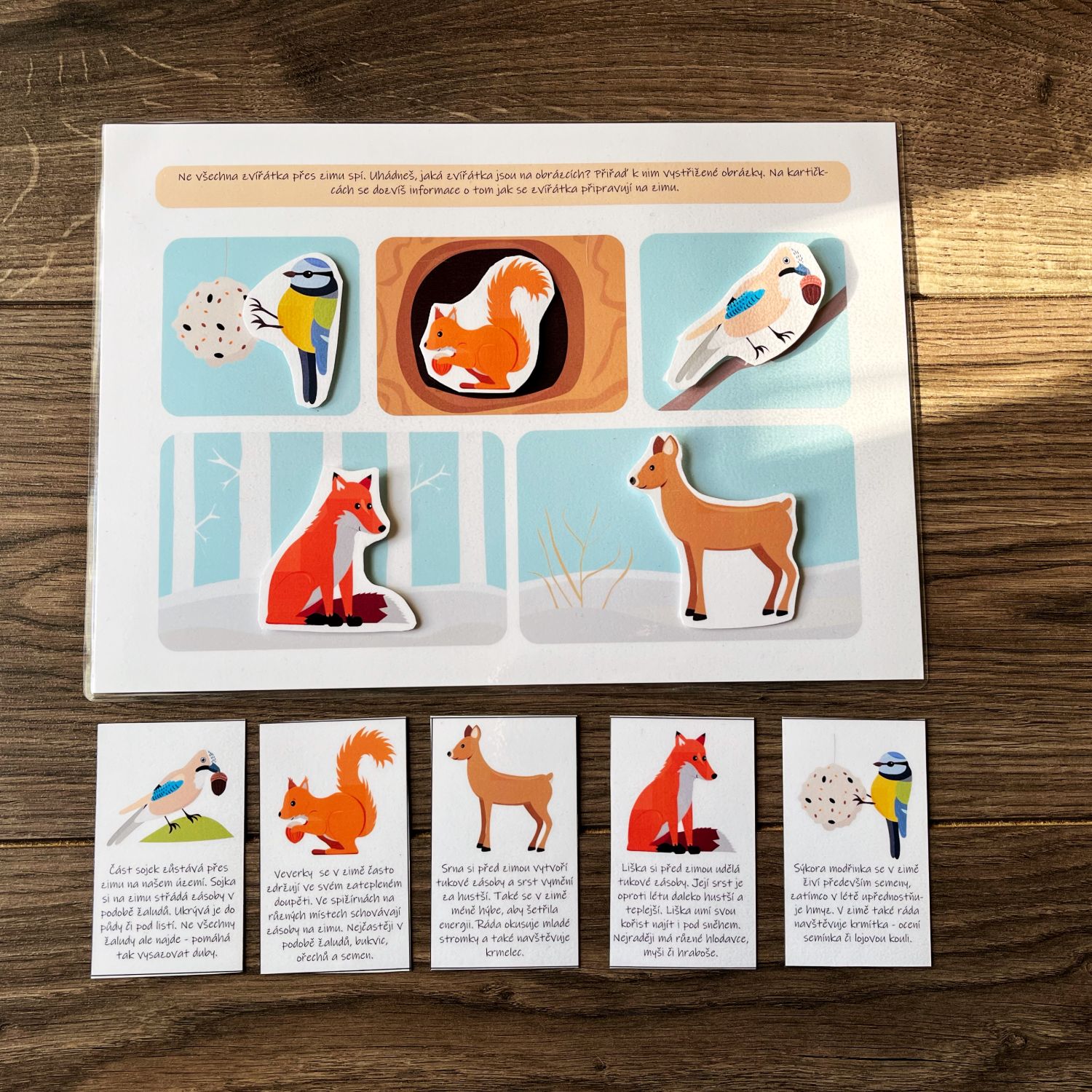 Zima, aktivity na suchý zip, PDF