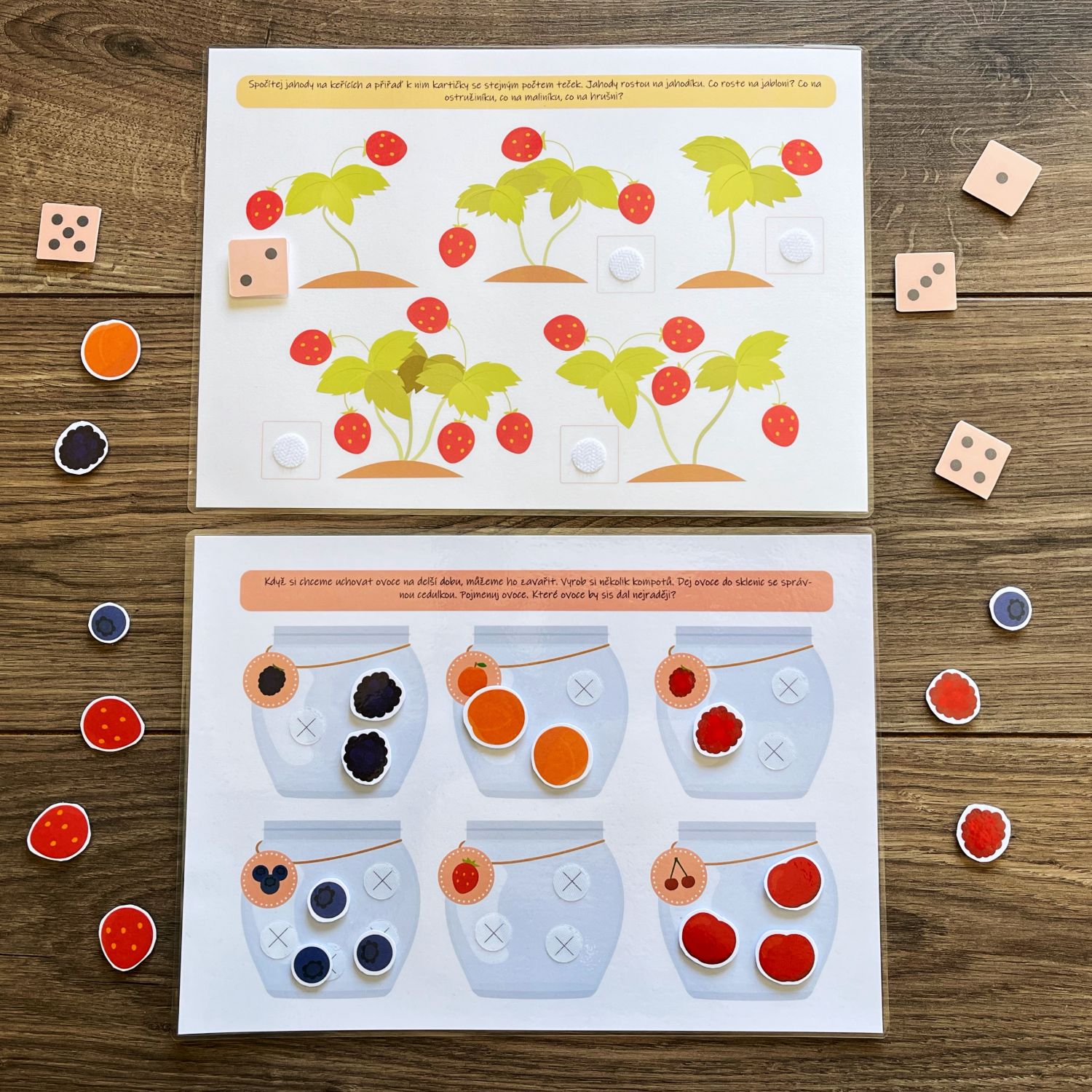 Léto, aktivity na suchý zip PDF