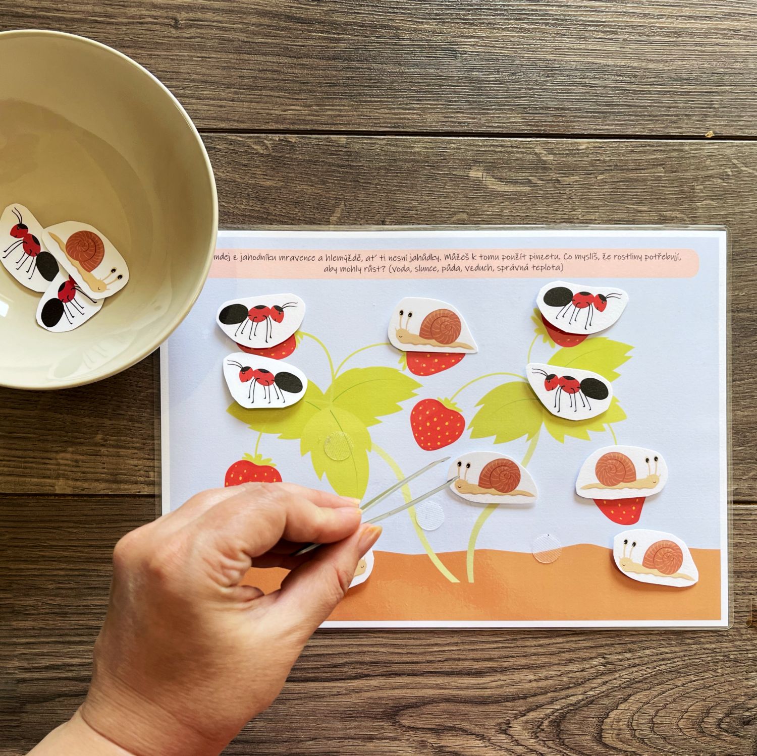 Jahůdkohraní – aktivity pro děti na téma jahody - Obrázek 8