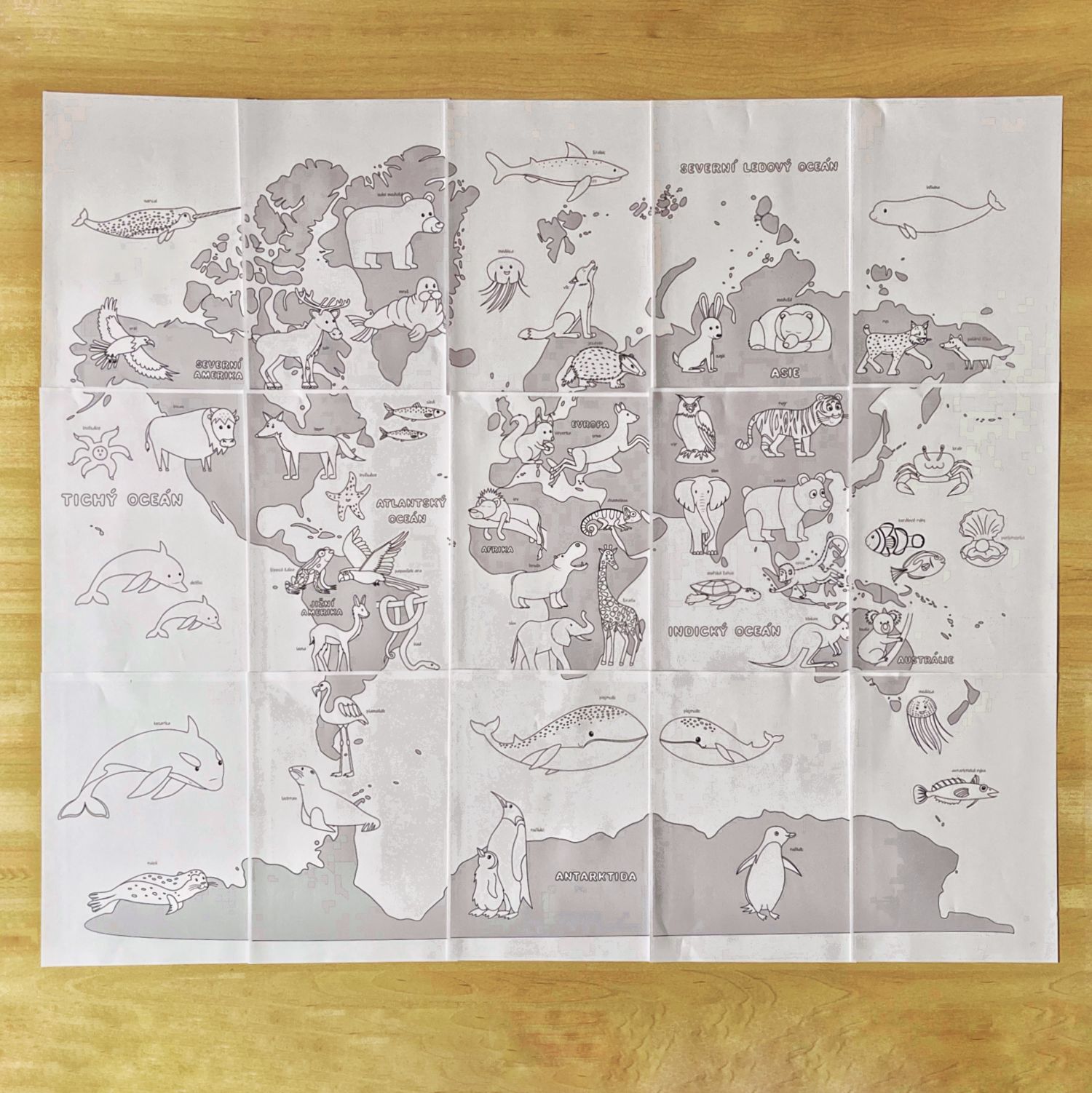Maxiomalovánka mapa světa se zvířátky, PDF - Obrázek 4