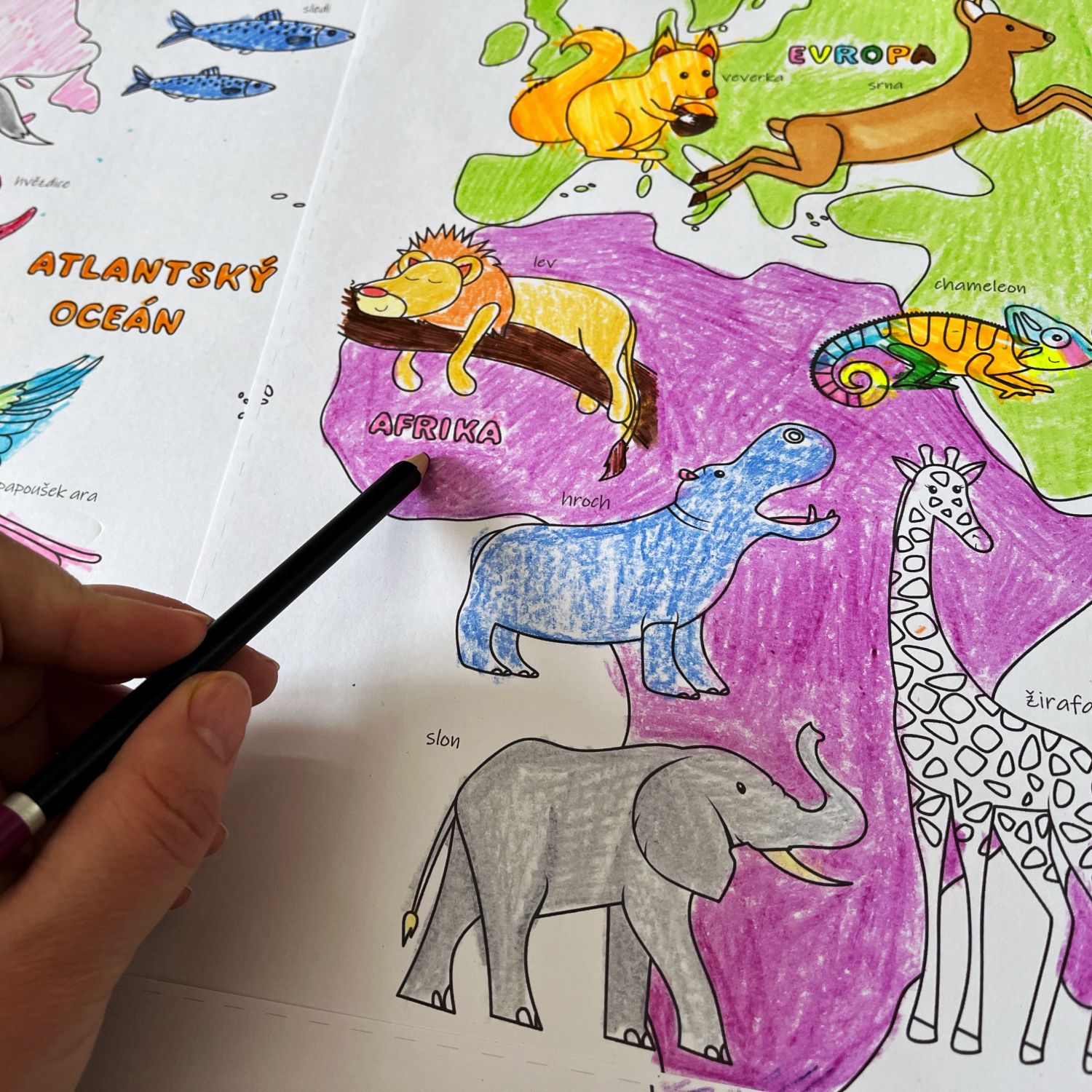 Maxiomalovánka mapa světa se zvířátky, PDF