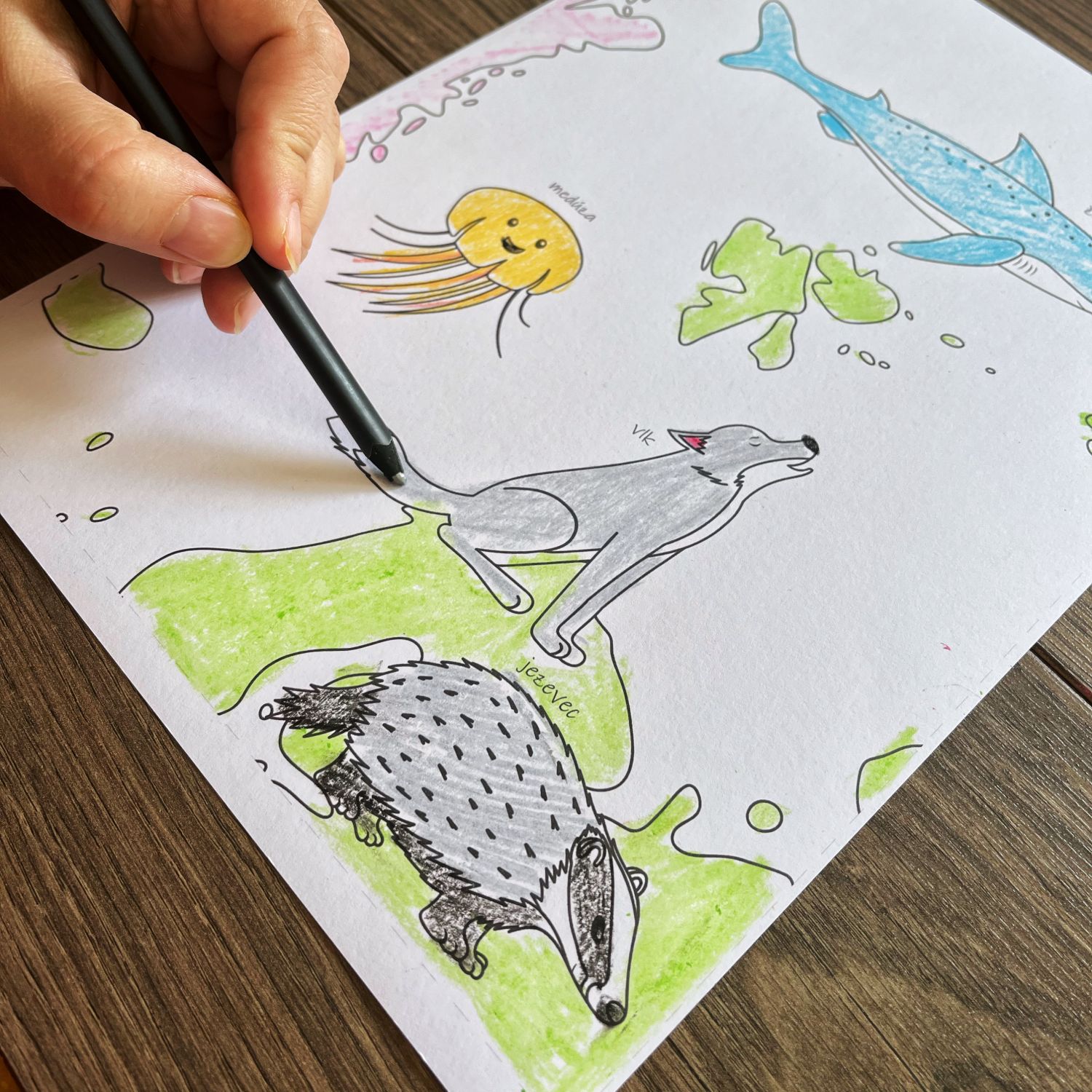 Maxiomalovánka mapa světa se zvířátky, PDF - Obrázek 5