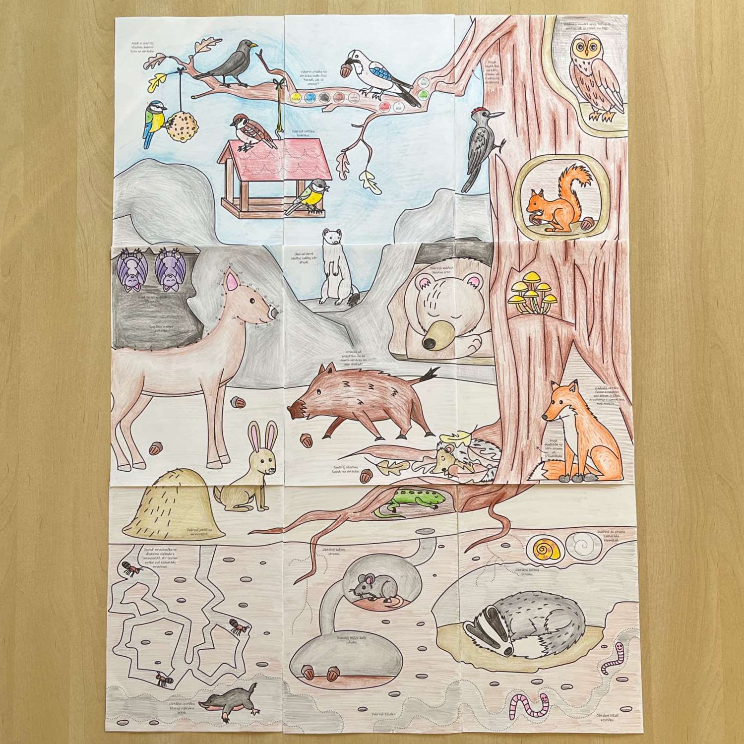 Obří omalovánka zvířátka v zimě