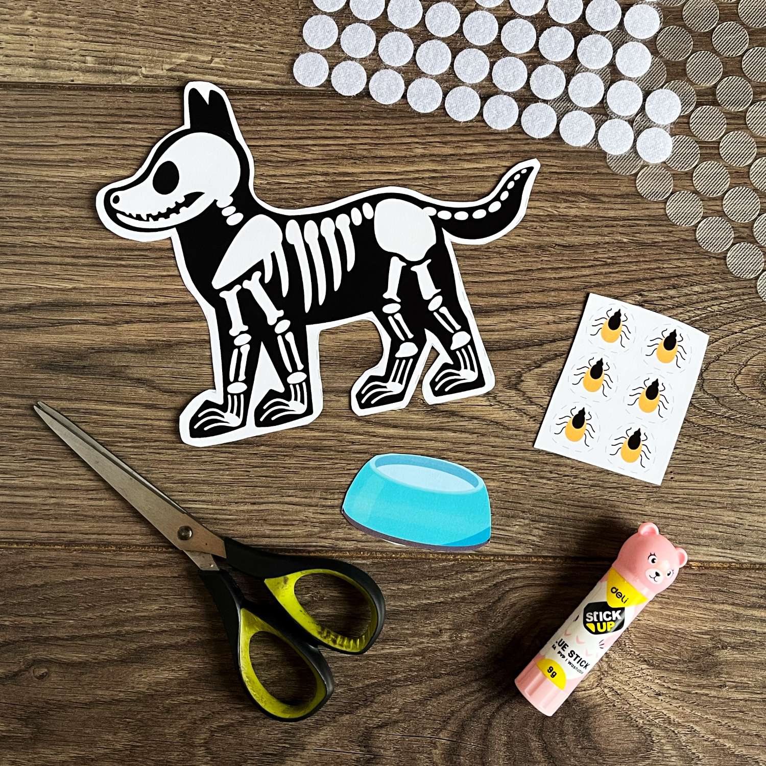 Miniaktivita veterinář