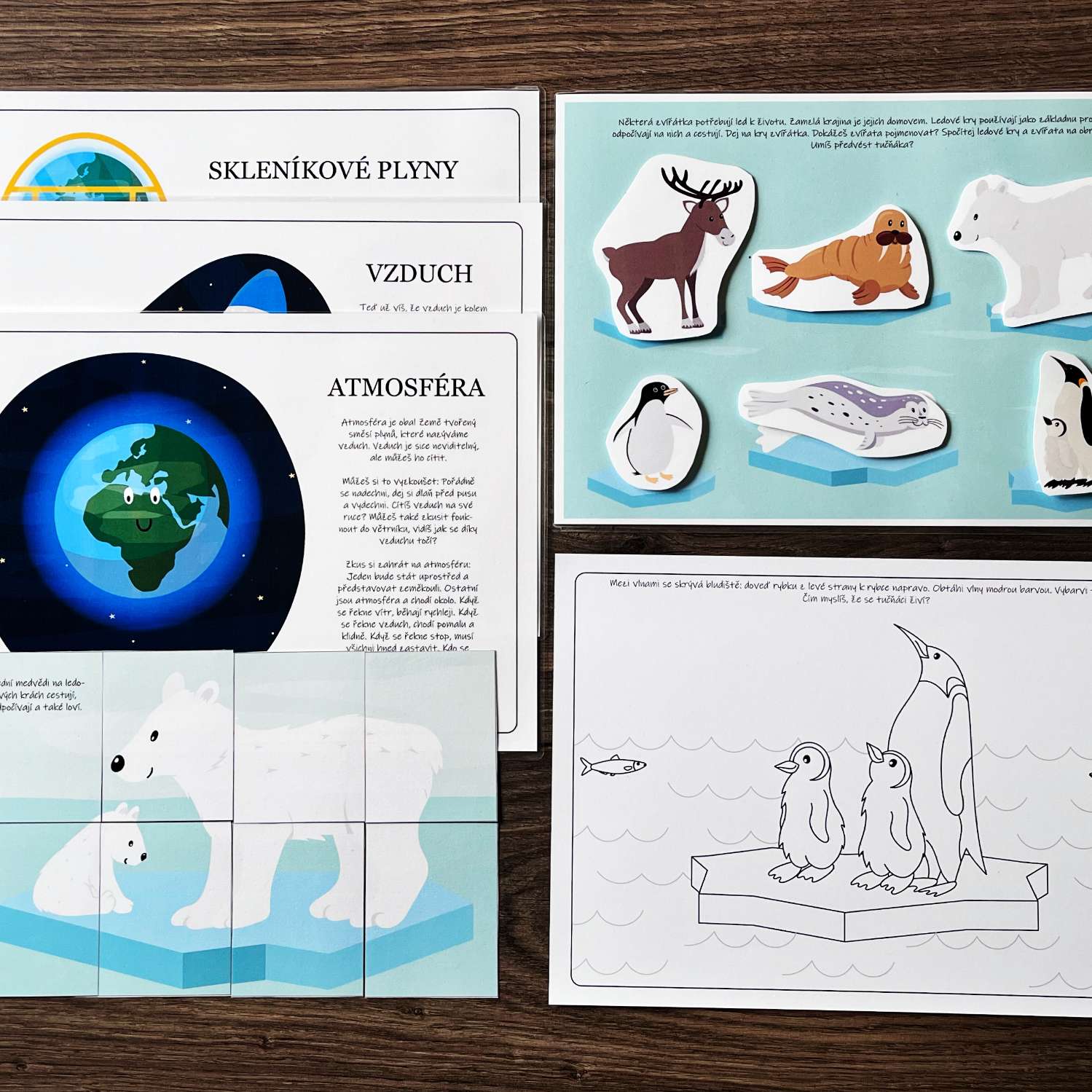 Aktivity a pracovní listy Den Země, PDF